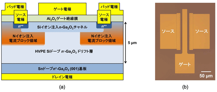 図1　作製した縦型Ga2O3トランジスタ構造の (a) 断面模式図、(b) 光学顕微鏡写真