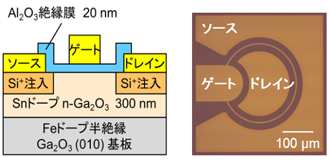 Siイオン注入ドーピングを用いて作製した横型Ga2O3トランジスタの（左）断面模式図、（右）光学顕微鏡写真