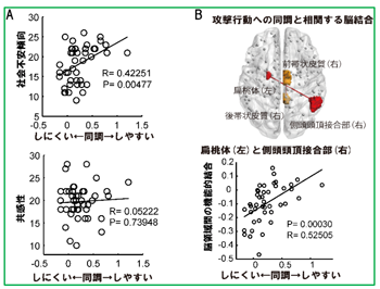 図1　社会的不安傾向と扁桃体結合の攻撃への同調に対する寄与