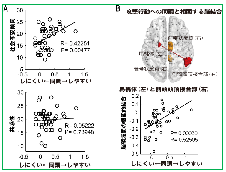 攻撃行動に加担する心と脳の背景 | NICT-情報通信研究機構