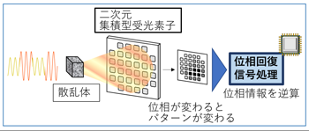 図1 位相回復型コヒーレント受信方式のイメージ図