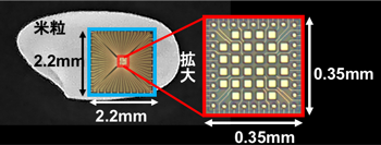 集積型受光素子