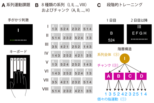 図5 行動実験課題 図5 行動実験課題