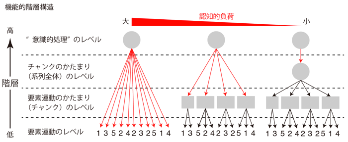 図3 系列運動の階層的表現