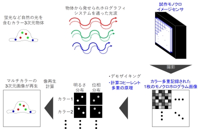 図1