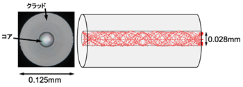 図3 図3