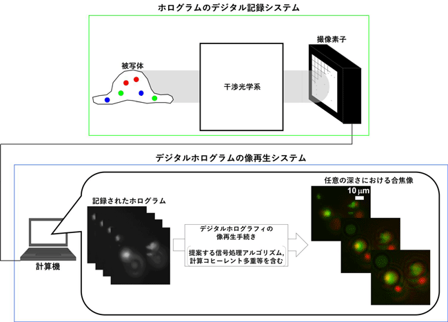 図3 