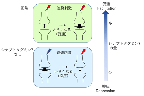 図1