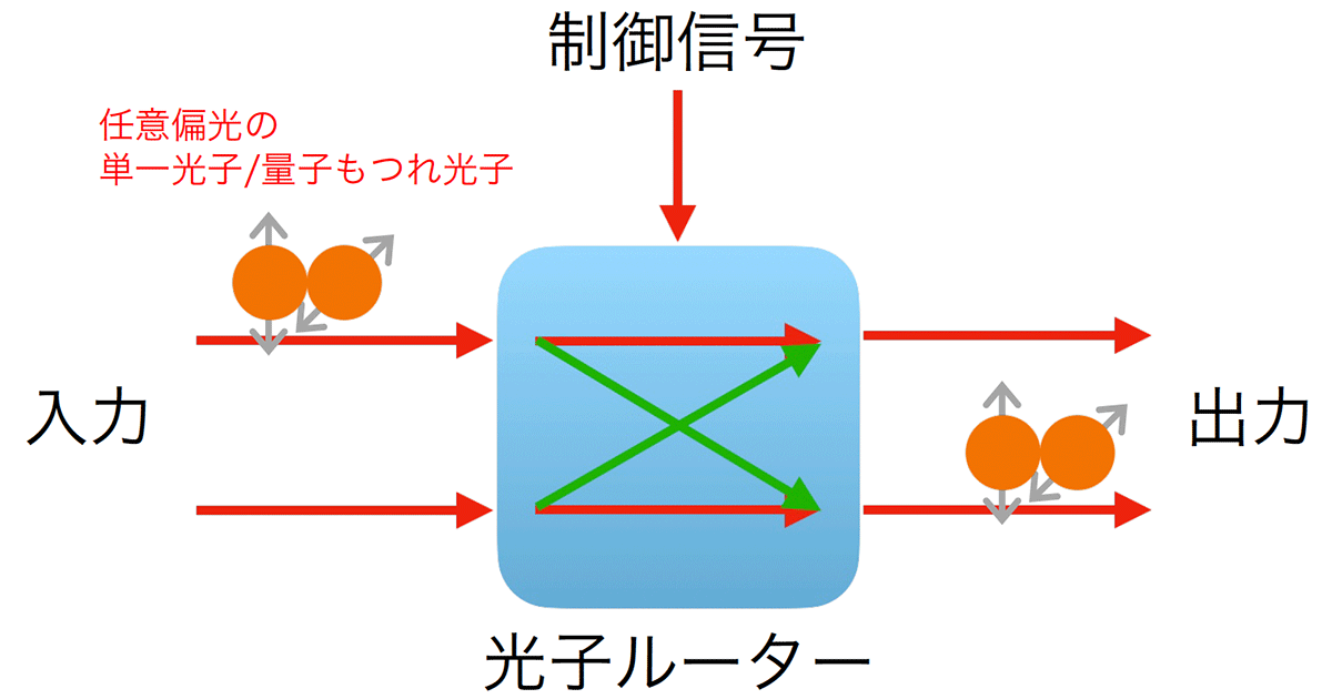 量子もつれ光子ルーターを開発し伝送経路の切り替えを実証