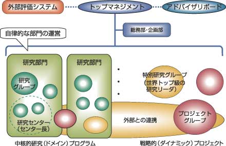 図1 フラットかつ柔軟な研究組織