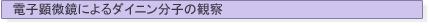 $BEE;R82Hy6@$K$h$k%@%$%K%sJ,;R$N4Q;!(J