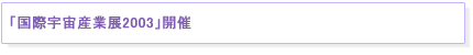 $B!V9q:]1'Ch;:6HE8(J2003$B!W3+:E(J