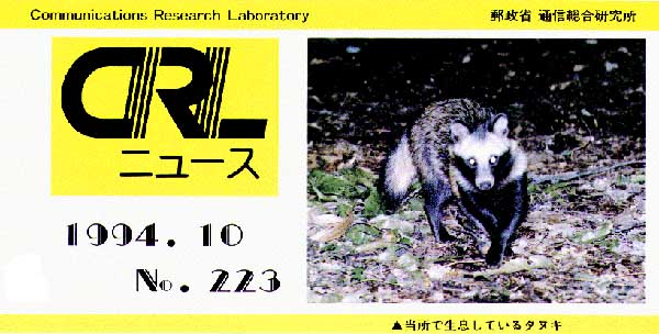 CRLニュース表紙、当所で生息しているタヌキ