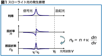 }1X[Cg̔