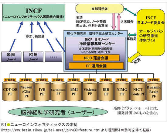 }1 j[CtH}eBbNX̑̐