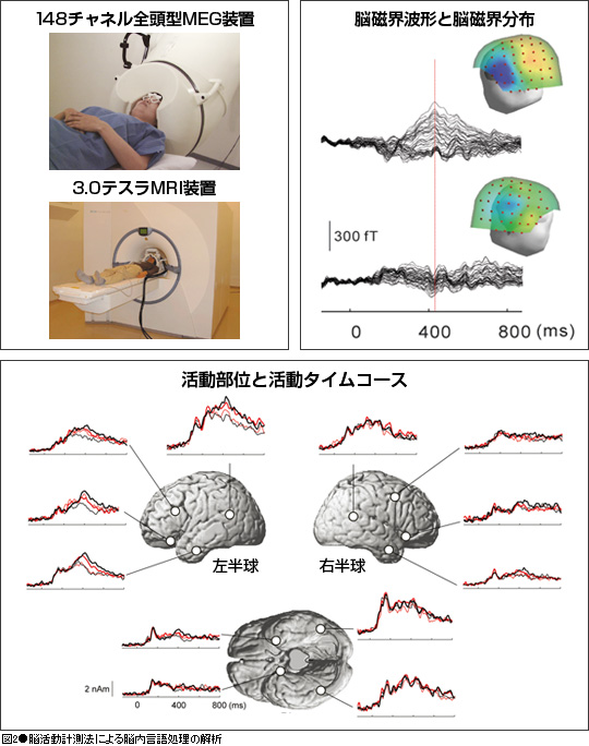 図2 脳活動計測法による脳内言語処理の解析