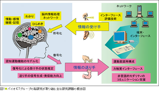 図1●バイオICTグループの脳研究が取り組む主な研究課題の概念図
