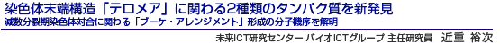 染色体末端構造「テロメア」に関わる2種類のタンパク質を新発見 減数分裂期染色体対合に関わる「ブーケ・アレンジメント」形成の分子機序を解明 未来ICT研究センター バイオICTグループ 主任研究員　近重 裕次