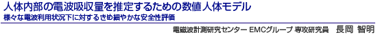 人体内部の電波吸収量を推定するための数値人体モデル　様々な電波利用状況下に対するきめ細やかな安全性評価　電磁波計測研究センター ＥＭＣグループ 専攻研究員　長岡 智明