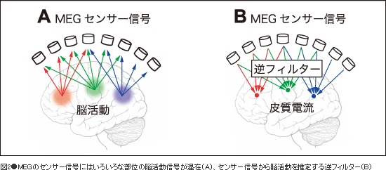 図2●MEGのセンサー信号にはいろいろな部位の脳活動信号が混在(A)、センサー信号から脳活動を推定する逆フィルター(B)
