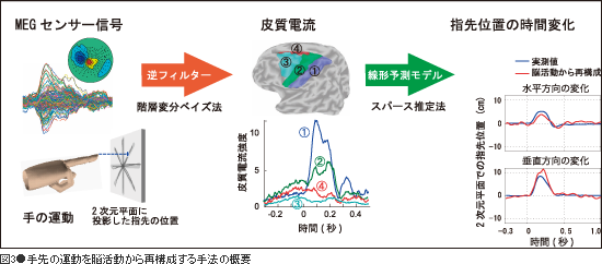 図3●手先の運動を脳活動から再構成する手法の概要