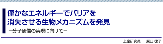 僅かなエネルギーでバリアを消失させる生物メカニズムを発見　－分子通信の実現に向けて－　上席研究員　原口 徳子