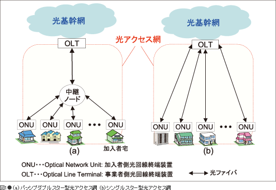 図1●（a）パッシブダブルスター型光アクセス網 （b）シングルスター型光アクセス網