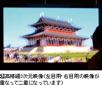 超高精細3次元映像(左目用・右目用の映像が重なって二重になっています)