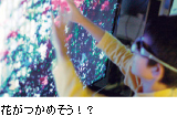 花がつかめそう!?