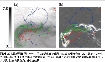 図3●（ a）太陽観測衛星「ひので」がX線望遠鏡で観測したX線の輝度分布に磁力線をプロットした結果。赤と青は正負の黒点の位置を表している。（b）「ひので」可視光望遠鏡が観測したフレアリボンに磁力線をプロットした結果。