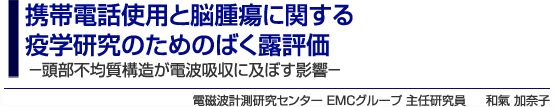 携帯電話使用と脳腫瘍に関する疫学研究のためのばく露評価－頭部不均質構造が電波吸収に及ぼす影響－　電磁波計測研究センター EMCグループ 主任研究員　和氣 加奈子