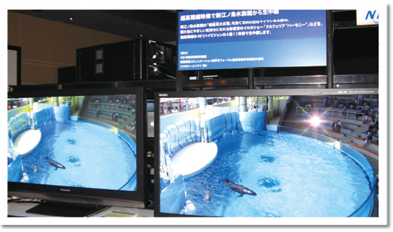 図2●新江ノ島水族館からの伝送映像（右が4Kモニタ）