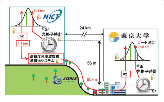 図1●NICT－東大光ファイバリンクによる光格子時計周波数比較の模式図