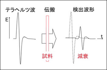 図1●テラヘルツ波の電界波形の例