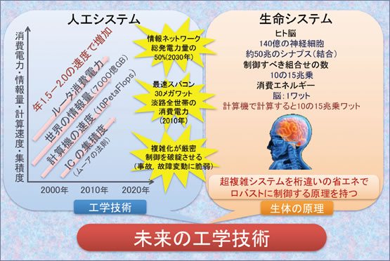 ●生体に学ぶ工学技術