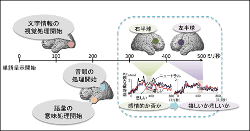 図4●感情情報を利用して言葉を理解するときの脳内プロセス