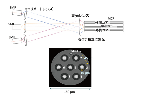 図3●レンズ結合型マルチコアファンイン/ファンアウトとトレンチアシスト型７コアファイバ