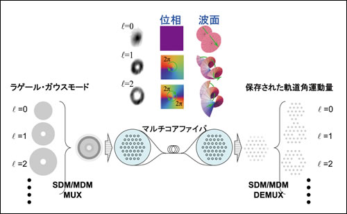 図4●マルチコアファイバによるラゲール・ガウスモード分割多重信号伝送