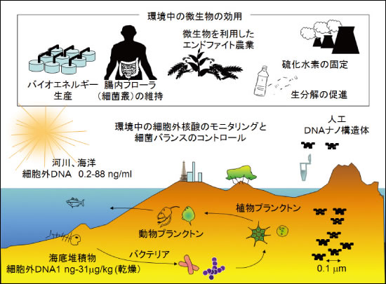 図2●ＤＮＡセンサーネットワークとミクロ世界