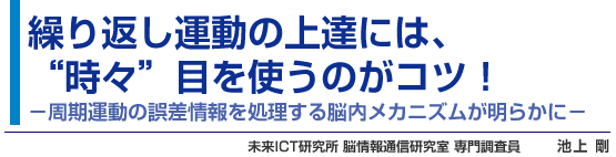 繰り返し運動の上達には、“時々”目を使うのがコツ！ -周期運動の誤差情報を処理する脳内メカニズムが明らかに- 未来ICT研究所 脳情報通信研究室 専門調査員 池上 剛