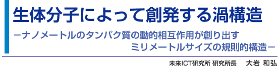 生体分子によって創発する渦構造 - 国ナノメートルのタンパク質の動的相互作用が創り出すミリメートルサイズの規則的構造 - 未来ICT研究所 研究所長 大岩 和弘