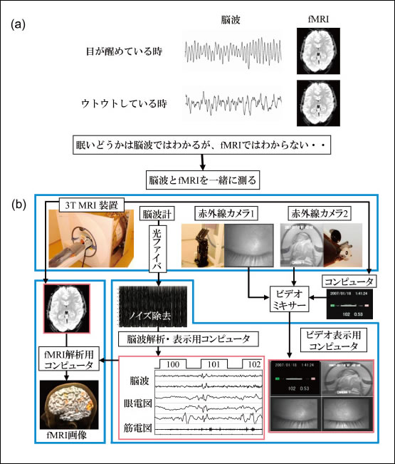 図2　NICT 未来ICT研究所で開発した脳波・fMRI・ビデオ同時計測・解析システム