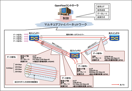 図3　今回実験したマルチコアファイバーネットワーク構成および光パスの例