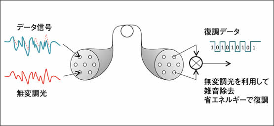 図4　マルチコアファイバーに自己ホモダイン方式を採用