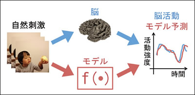 図1　モデリングアプローチの概念図