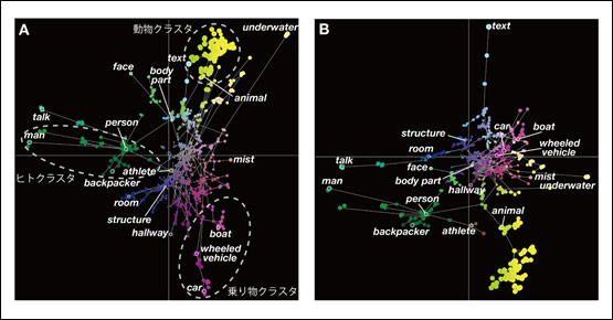 図2　脳内意味空間の可視化例