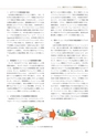 情報通信研究機構年報
