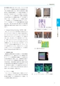 情報通信研究機構年報