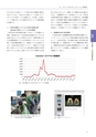 情報通信研究機構年報