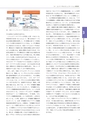 情報通信研究機構年報